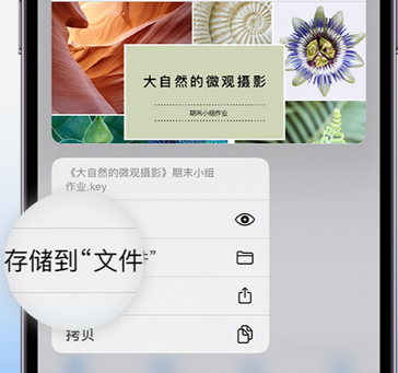 察雅apple维修中心分享iPhone文件应用中存储和找到下载文件