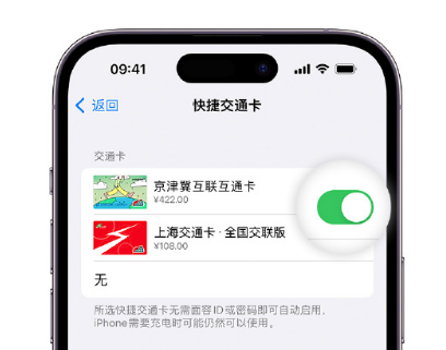 察雅apple维修点分享iPhone上更换Apple Pay快捷交通卡手绘卡面 