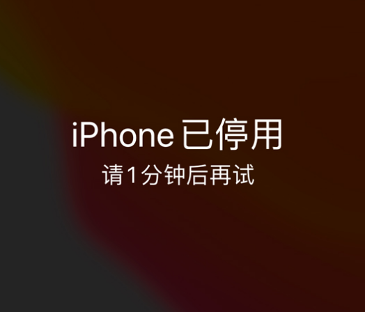 察雅苹果手机维修分享:iPhone 显示“不可用”或“已停用”怎么办？还能保留数据吗？ 