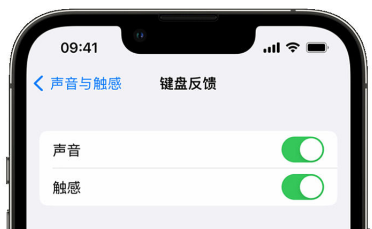 察雅苹果手机维修分享iPhone 14触感键盘使用方法 