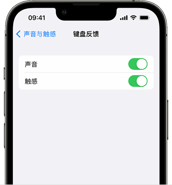 察雅苹果14维修店分享如何在 iPhone 14 机型中使用触感键盘 