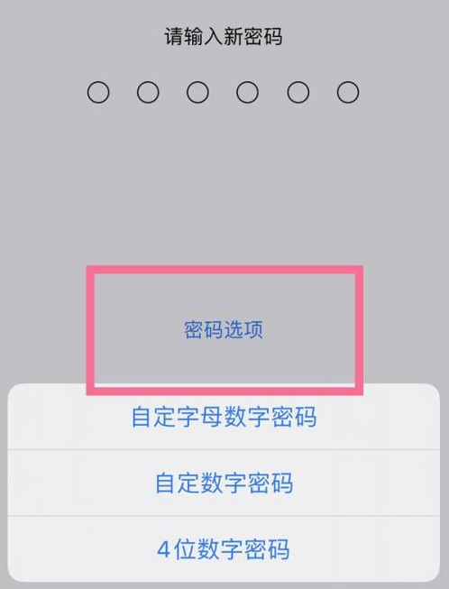 察雅苹果14维修分享iPhone 14plus设置密码的方法 