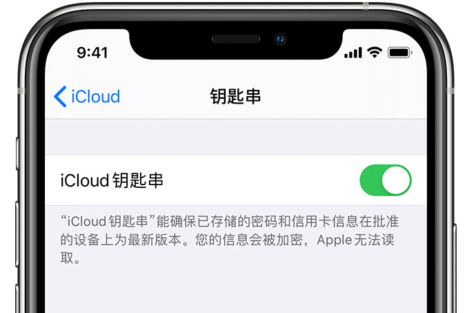 察雅苹果手机维修分享在 iPhone 上开启 iCloud 钥匙串之后会储存哪些信息 